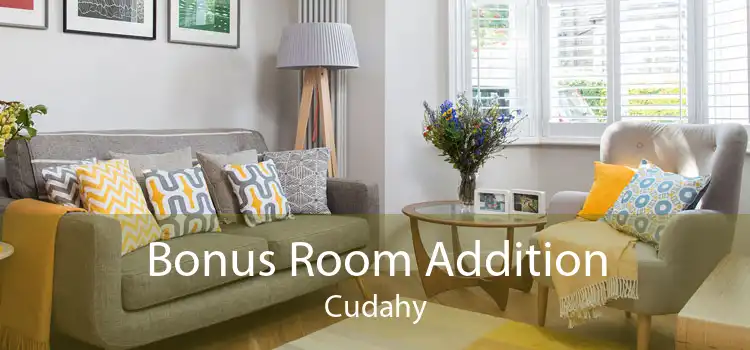 Bonus Room Addition Cudahy